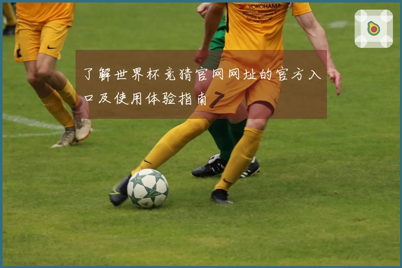 了解世界杯竞猜官网网址的官方入口及使用体验指南