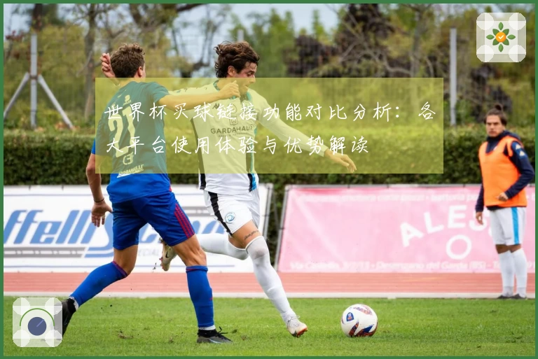 世界杯买球链接功能对比分析：各大平台使用体验与优势解读