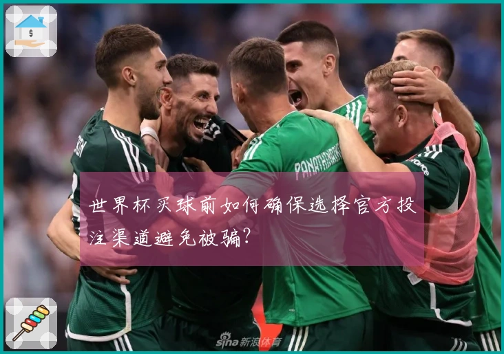 世界杯买球前如何确保选择官方投注渠道避免被骗？