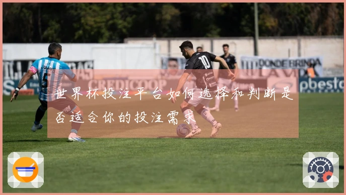 世界杯投注平台如何选择和判断是否适合你的投注需求