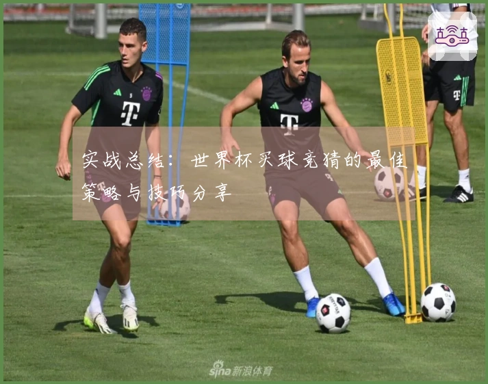 实战总结：世界杯买球竞猜的最佳策略与技巧分享