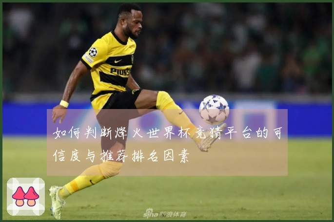 如何判断烽火世界杯竞猜平台的可信度与推荐排名因素