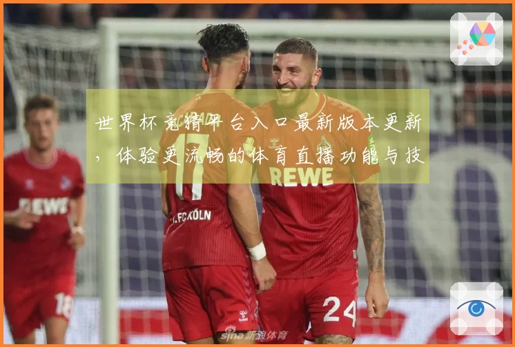 世界杯竞猜平台入口最新版本更新，体验更流畅的体育直播功能与技巧分享