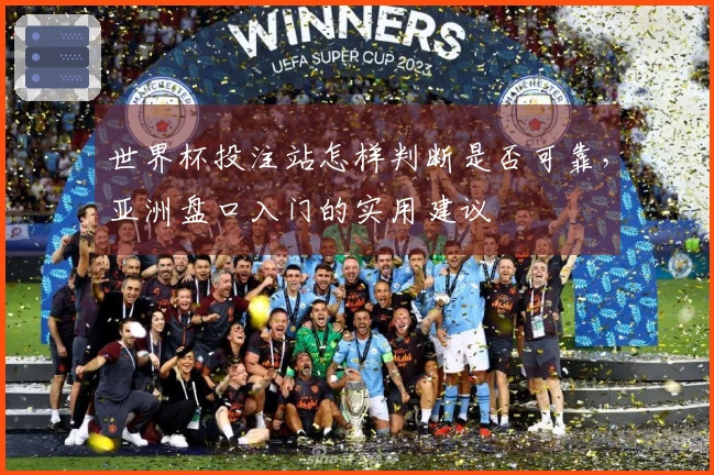 世界杯投注站怎样判断是否可靠，亚洲盘口入门的实用建议