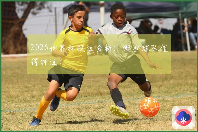 2026世界杯投注分析：哪些球队值得押注？