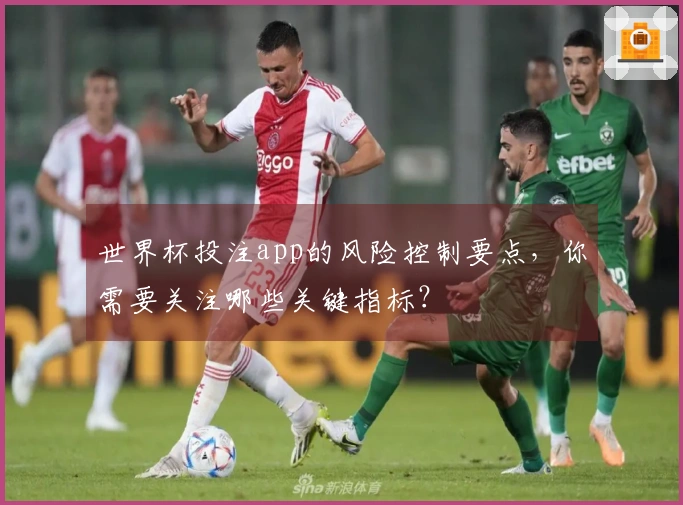 世界杯投注app的风险控制要点，你需要关注哪些关键指标？