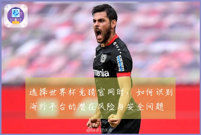 选择世界杯竞猜官网时，如何识别海外平台的潜在风险与安全问题