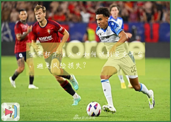世界杯下注入口如何识别安全平台，避免风险损失？