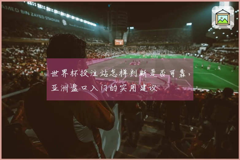 世界杯投注站怎样判断是否可靠，亚洲盘口入门的实用建议