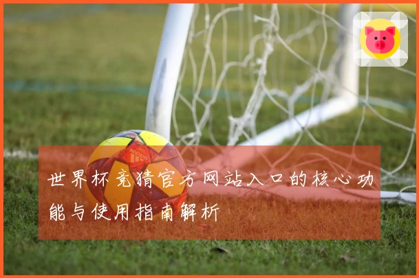 世界杯竞猜官方网站入口的核心功能与使用指南解析