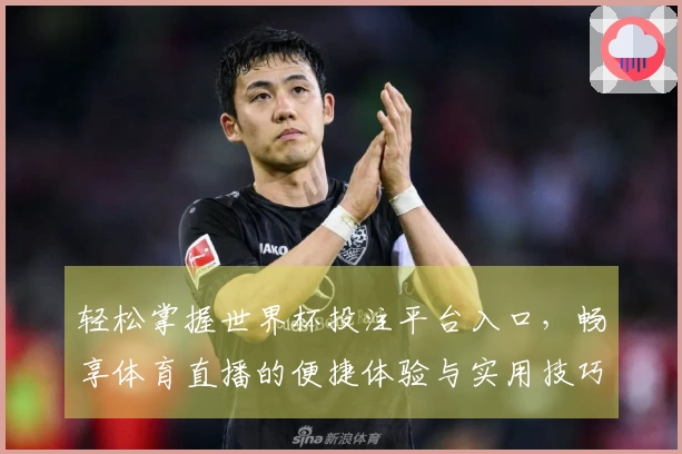 轻松掌握世界杯投注平台入口，畅享体育直播的便捷体验与实用技巧